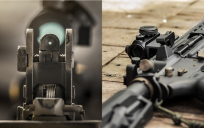 Sights: Iron VS Red Dot